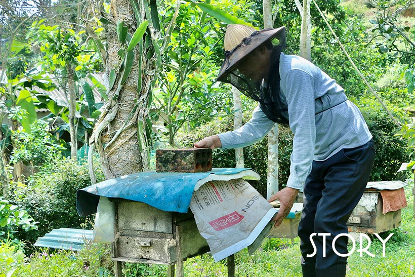 Nữ công nhân ngành điện Hà Tĩnh gần 20 năm “bám lưới” vùng biên