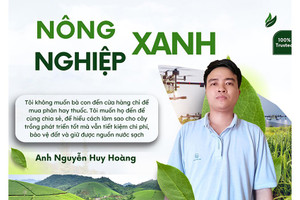 Người con Hà Tĩnh lập nghiệp "xanh" trên vùng đất Tây Nguyên