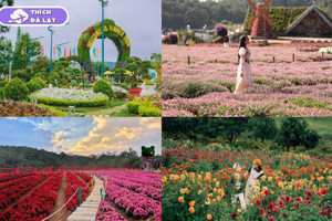 ThichDalat.com - cẩm nang du lịch Đà Lạt cập nhật thời tiết hàng ngày