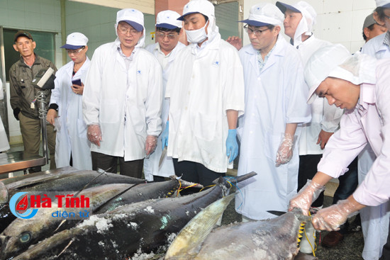 doc duong dat nuoc tu quy nhon nhin ra bien rong