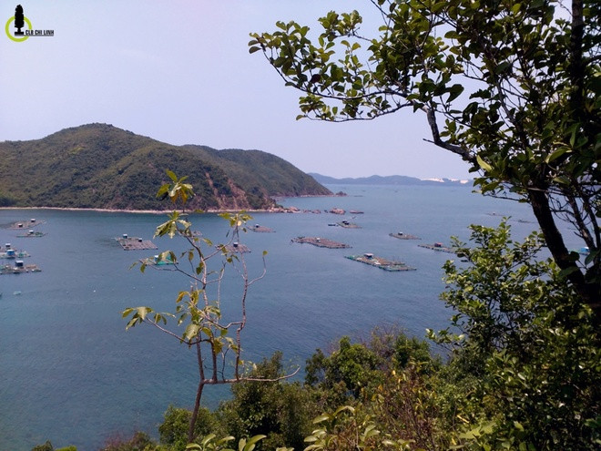 con duong duoi muc nuoc bien o phu yen