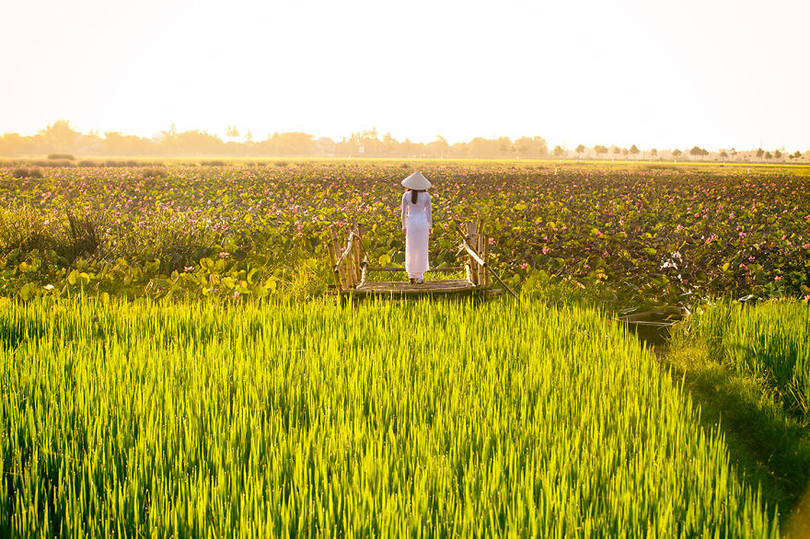 ao dai viet nam tuyet dep duoi ong kinh nhiep anh gia phap