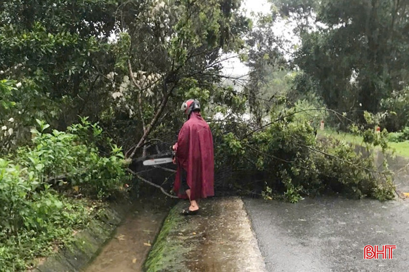 Mưa lũ cũng khiến nhiều cây cối gãy, đổ, cản trở giao thông trên địa bàn. 6.jpg