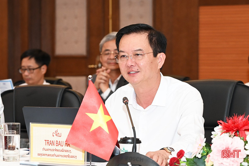Phó Chủ tịch UBND tỉnh Trần Báu Hà phát biểu tại buổi làm việc. bqbht_br_4.jpg