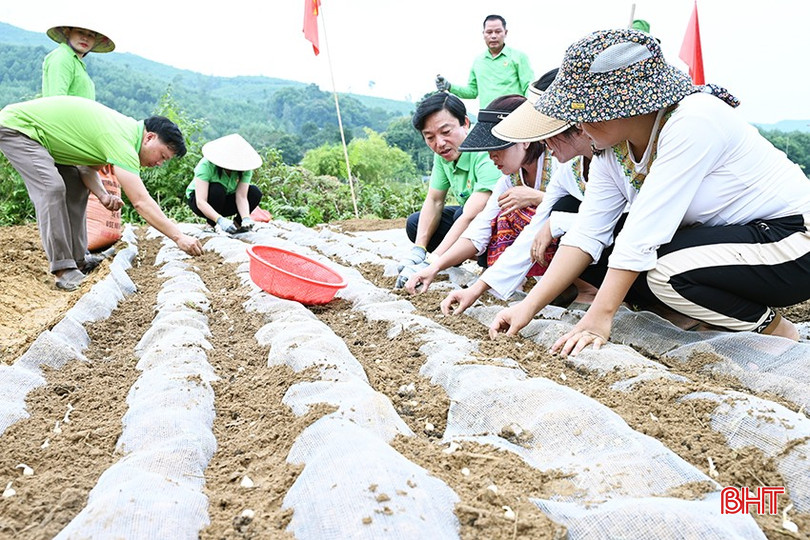 Cán bộ, hội viên nông dân và các chiến sỹ biên phòng trực tiếp cầm tay, chỉ việc. 2-6130.jpg