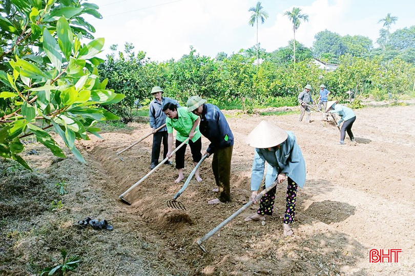 Hội Nông dân xã Phú Gia sản xuất thử nghiệm 1 sào tại đồng Bãi Trện, thôn Trường Sơn. 5-1128.jpg