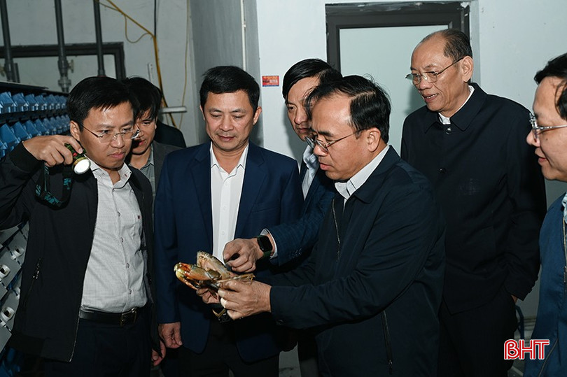 Phó Chủ tịch UBND tỉnh Lê Ngọc Châu và đoàn đã đến kiểm tra dự án xây dựng mô hình nuôi cua biển trong hộp nhựa sử dụng hệ thống lọc nước tuần hoàn trong nhà kín tại phường Thạch Hạ. bqbht_br_7.jpg