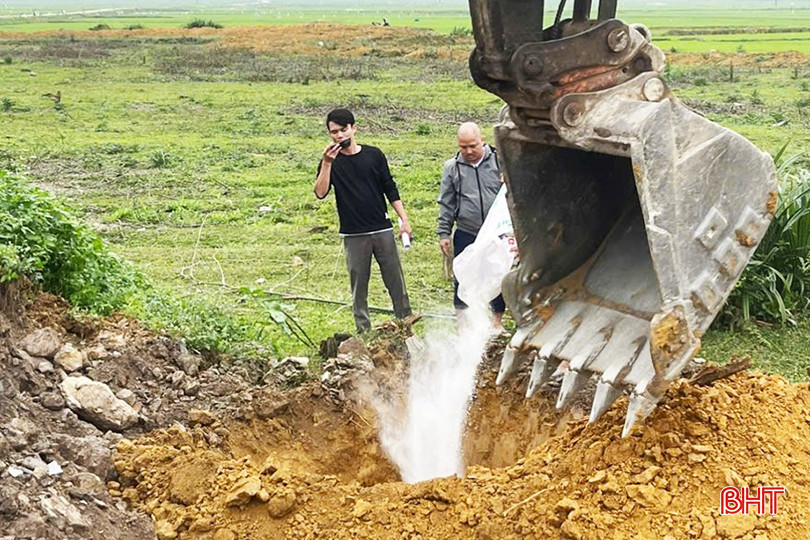 Gia súc bị chết ở Hương Khê được tiêu hủy đúng quy định. bqbht_br_4.jpg