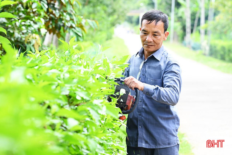 Ông Phan Hữu Minh – Bí thư Chi bộ, Trưởng thôn Bình Thành (Trưởng ban Công tác Mặt trận thôn giai đoạn 2011 – 2023) gương mẫu đi đầu trong phong trào. 1.jpg