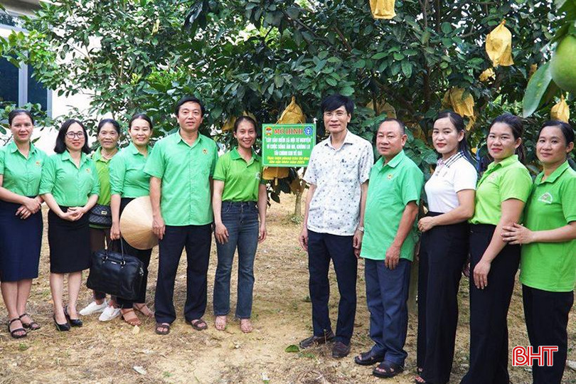 Đầu tháng 6/2024, Hội Nông dân Hương Khê thí điểm mô hình cây BHXH, BHYT gắn với câu lạc bộ nông dân hướng tới có lương hưu tại xã Hương Trạch. 1.jpg