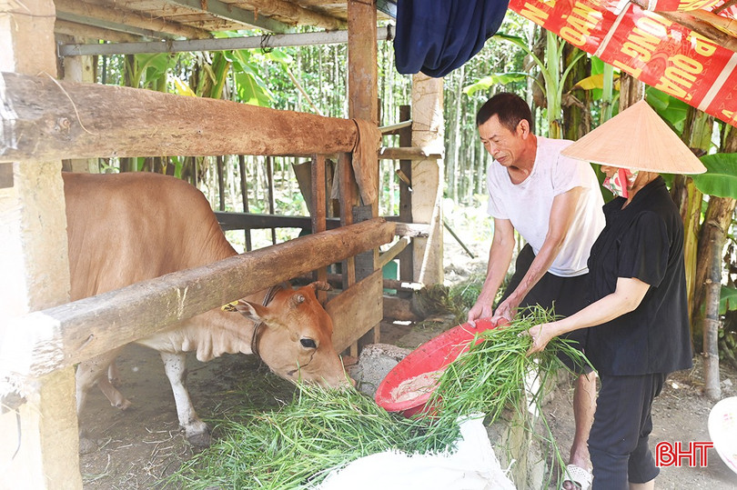 Innen 2025 vil hele kommunen ha 26 husstander løftet ut av fattigdom. bqbht_br_a3.jpg