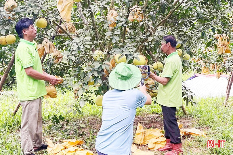 Nông dân Hà Tĩnh ứng dụng điện thoại thông minh, internet để quảng bá sản phẩm đặc sản trên các sàn thương mại điện tử. 4-567.jpg