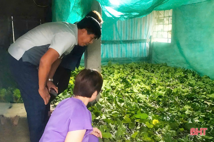 CLB Nông dân sản xuất kinh doanh giỏi huyện Đức Thọ tổ chức tham quan các mô hình kinh tế hiệu quả trên địa bàn. bqbht_br_1.jpg