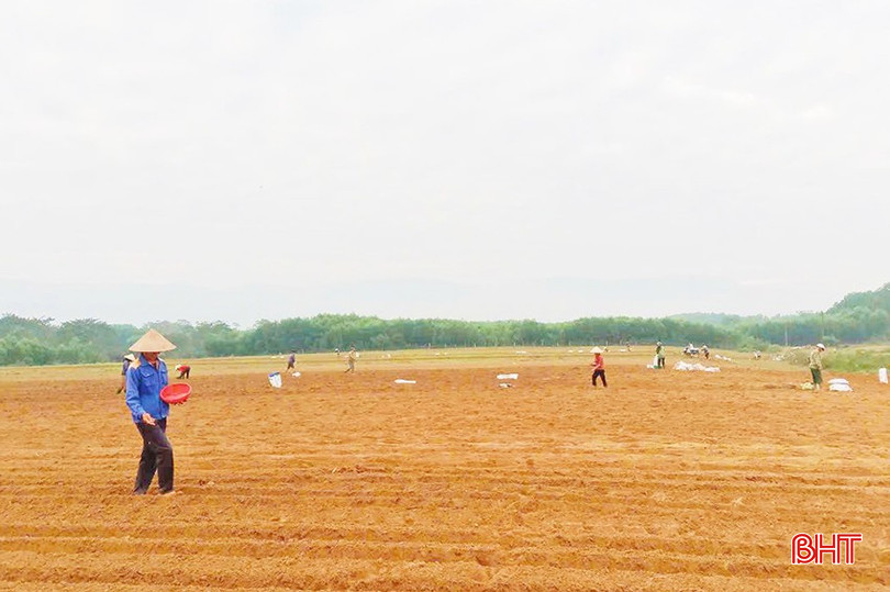 Tranh thủ thời tiết thuận lợi, bà con nông dân huyện Hương Khê ra đồng xuống giống các diện tích còn lại. bqbht_br_5.jpg