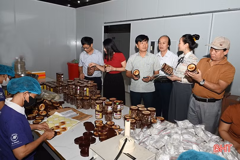 Nhờ KHCN và đổi mới sáng tạo, Công ty TNHH KH&amp;CN An Phát gặt hái được nhiều thành công, ngày càng khẳng định vị thế trên thị trường.