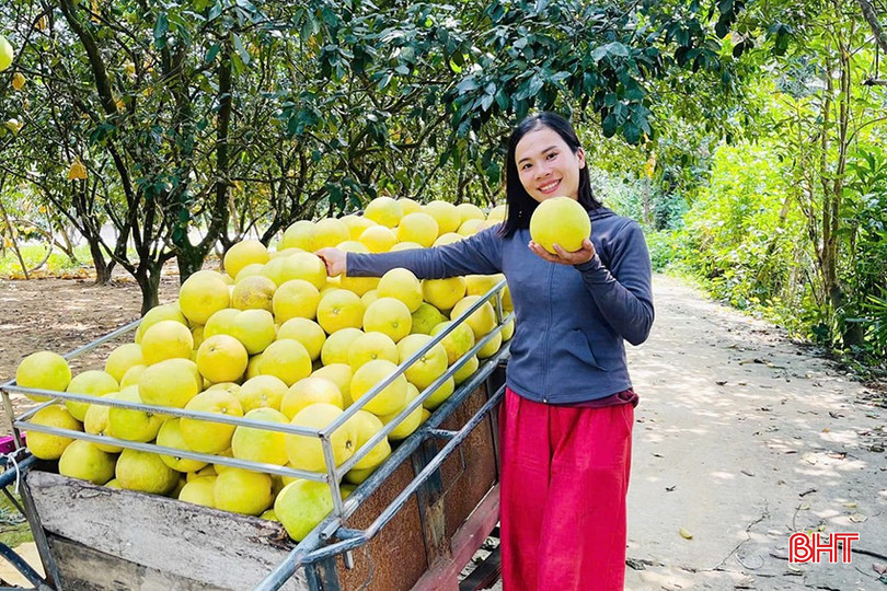 Chị Trần Huyền Ân cũng như người dân Hương Khê đang đặt niềm tin và tập trung phát triển nông nghiệp hữu cơ. bqbht_br_4.jpg