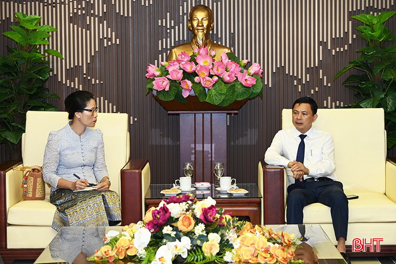 Phó Chủ tịch UBND tỉnh Lê Ngọc Châu và Tổng Lãnh sự Việt Nam tại tỉnh Savannakhet Đặng Thị Hải Tâm trao đổi tại buổi làm việc. 2-6640.jpg