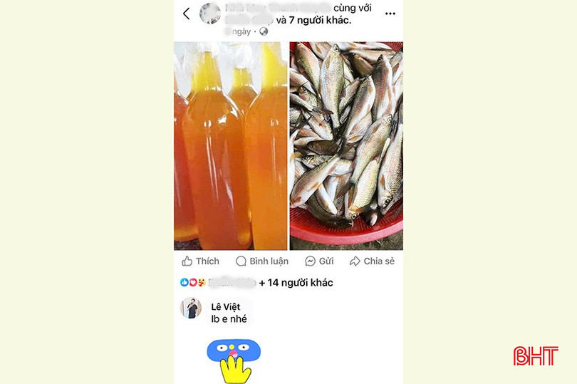 Bài đăng giới thiệu sản phẩm của chị H. và bình luận của tài khoản Lê Việt. bqbht_br_3.jpg