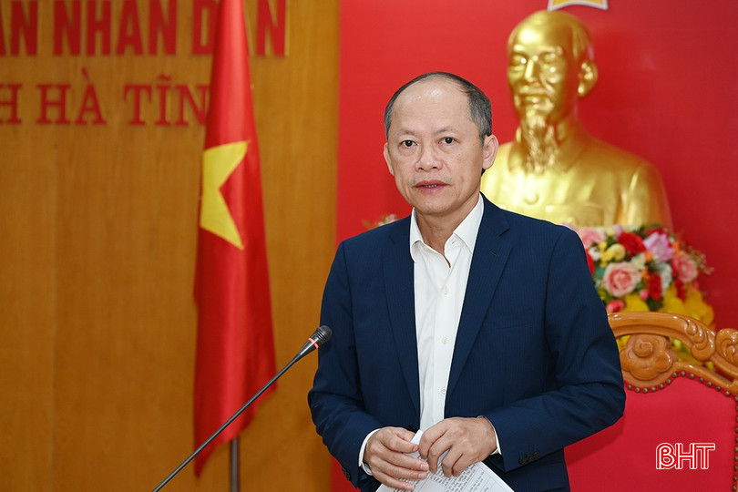 Phó Chủ tịch Thường trực UBND tỉnh Nguyễn Hồng Lĩnh phát biểu chỉ đạo tại cuộc họp. bqbht_br_1.jpg