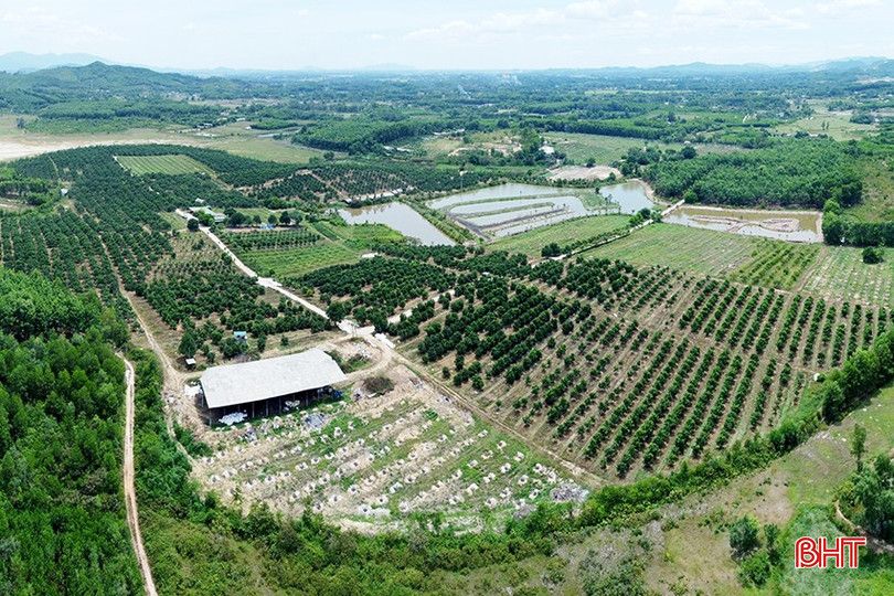 Nhờ CĐS và áp dụng công nghệ, trung bình mỗi năm, HTX Gia Phúc (xã Mỹ Lộc) thu về hơn 6 tỷ đồng. bqbht_br_2.jpg