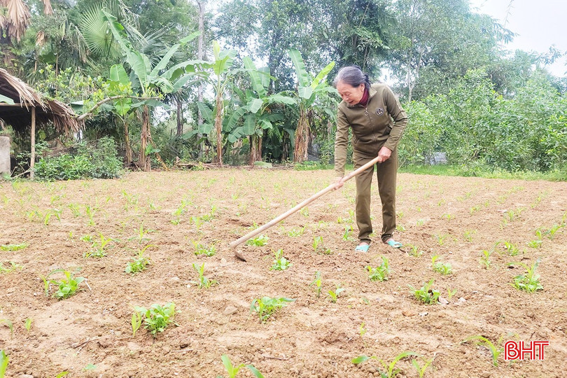این خانه انگیزهای برای خانم لان بود تا سخت کار کند و برای فرار از فقر تلاش کند. bqbht_br_2.jpg