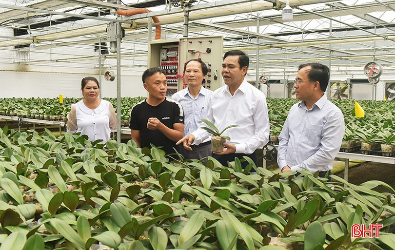 Hà Tĩnh đã có nhiều cơ chế, chính sách hỗ trợ phát triển KH&CN và ĐMST (Trong ảnh: Lãnh đạo tỉnh kiểm tra mô hình kinh tế ứng dụng KHCN cao tại huyện Thạch Hà). 5.jpg