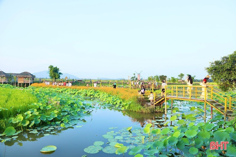 Mô hình nông nghiệp “3 trong 1”, sản xuất lúa hữu cơ, nuôi trồng các loại thủy sản và mở các dịch vụ theo hướng sinh thái của anh Nguyễn Hữu Quyền. bqbht_br_image-9199.jpg