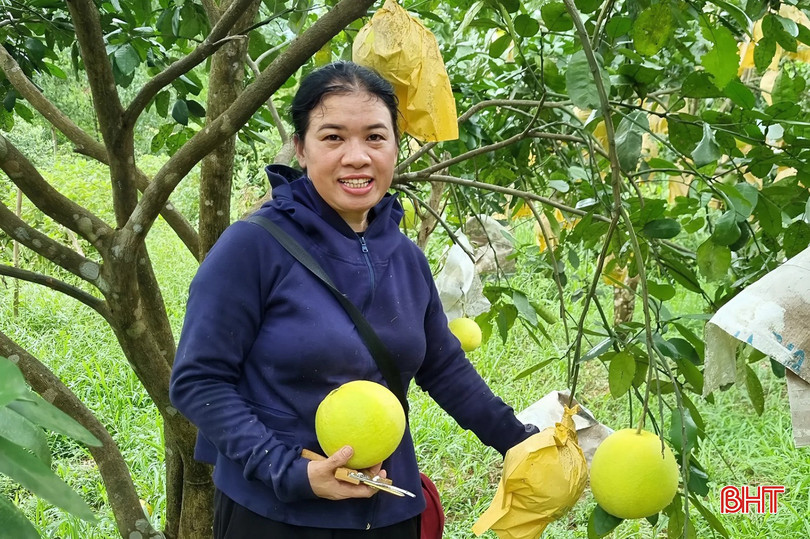 bqbht_br_ba-nguyen-thi-huong-thon-tan-dua-xa-phuc-trach.jpg