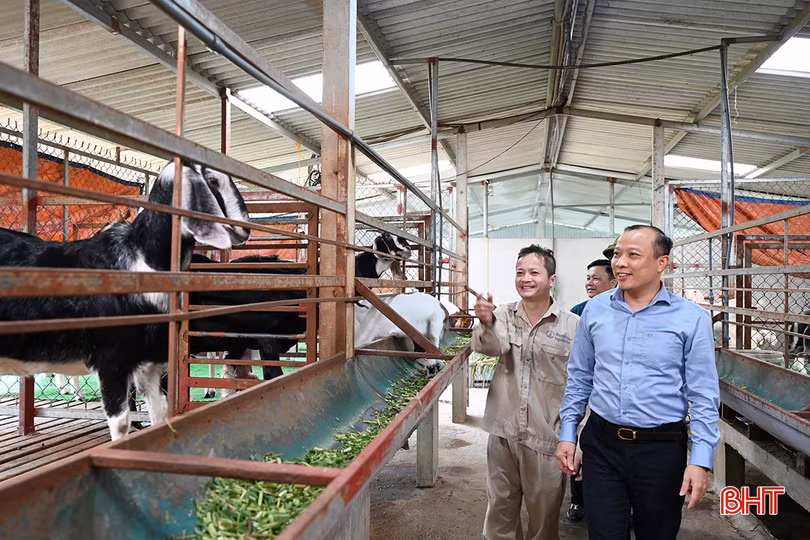 Tranh thủ thời tiết thuận lợi để đẩy nhanh tiến độ xóa nhà tạm ở Hương Khê ảnh 6