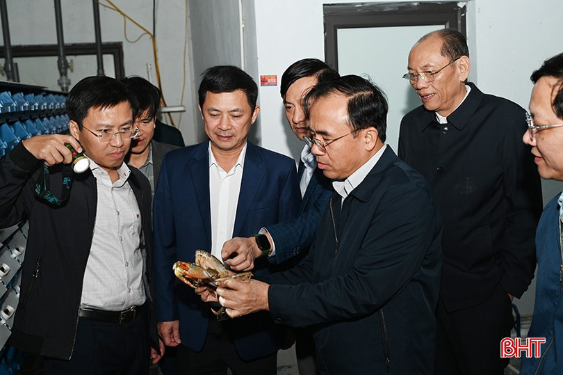 Mô hình nuôi cua biển trong hộp nhựa sử dụng hệ thống lọc nước tuần hoàn bước đầu cho thấy hiệu quả cao. bqbht_br_2.jpg