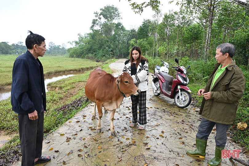 Suggan är bqbht_br_4.jpg