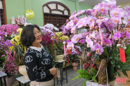 Hoa Tết đa dạng, chiều lòng nhiều tệp khách hàng