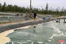 Ngành thủy sản Hà Tĩnh "hồi sinh" sau bão lớn