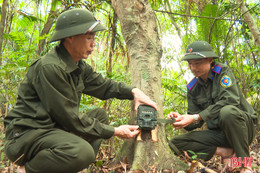 Chuyện về “thợ đặt bẫy ảnh” giữa rừng nguyên sinh ở Hà Tĩnh