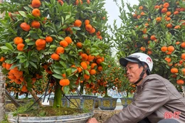 Mưu sinh ngày cận Tết, gánh ước vọng trên vai