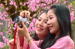 Dạo phố giữa sắc Xuân