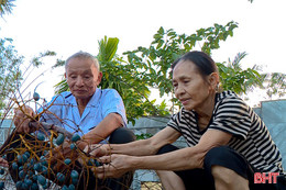 Đi tìm hương vị xưa từ những quả cọ