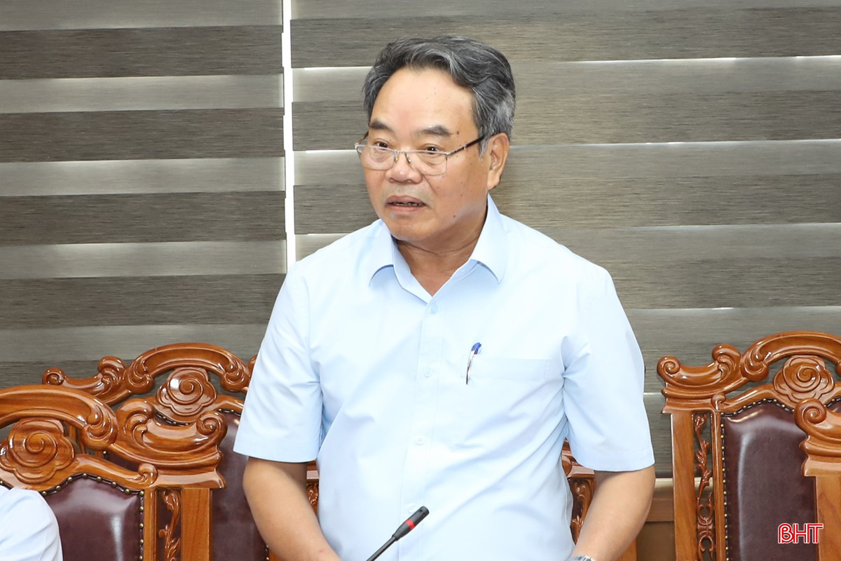 Trưởng ban Nội chính Tỉnh ủy Nguyễn Đình Hải đề xuất bổ sung giải pháp về kiểm tra, giám sát việc xử lý tài sản dôi dư. bqbht_br_6.jpg