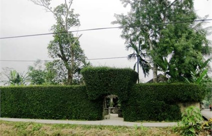 Kinh tế phát triển, các hình thái kiến trúc hiện đại đang lấn át mạnh mẽ nhưng người dân Tùng Ảnh vẫn gìn giữ được những nét văn hoá độc đáo của làng quê Việt Nam.