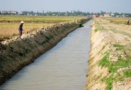 Mặc dù mưa lũ đã gây nhiều khó khăn đối với nông nghiệp nhưng cũng tạo được một số thuận lợi đó là nguồn nước tưới đảm bảo