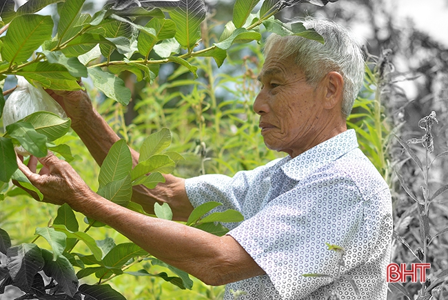 Phía sau những nỗi đau da cam...