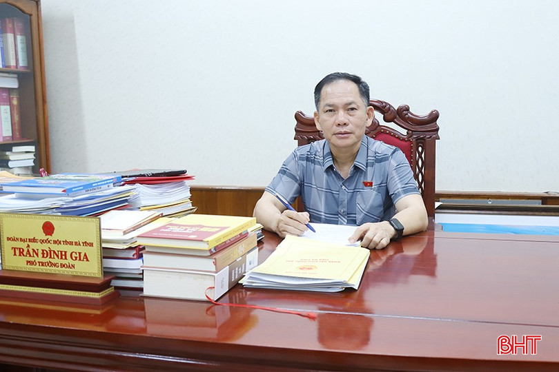 Phó Trưởng đoàn chuyên trách Đoàn ĐBQH Hà Tĩnh Trần Đình Gia. 5-615.jpg