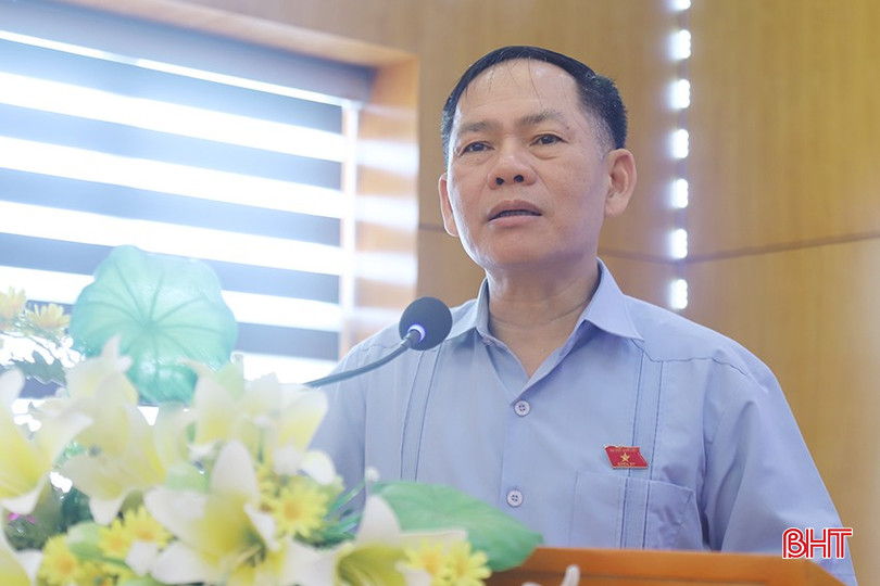 Phó Trưởng đoàn chuyên trách Đoàn ĐBQH tỉnh Trần Đình Gia phát biểu tại hội nghị. bqbht_br_14-9363.jpg