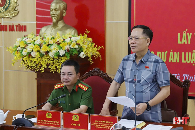 Phó Trưởng đoàn chuyên trách Đoàn ĐBQH tỉnh Trần Đình Gia phát biểu tại hội nghị. 89-9960.jpg