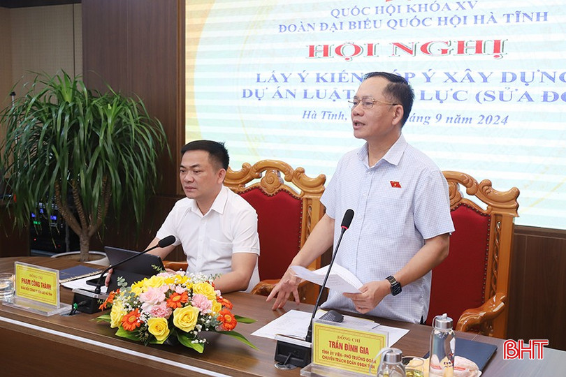 Phó Trưởng đoàn chuyên trách Đoàn ĐBQH tỉnh Trần Đình Gia phát biểu tại hội nghị. D.jpg