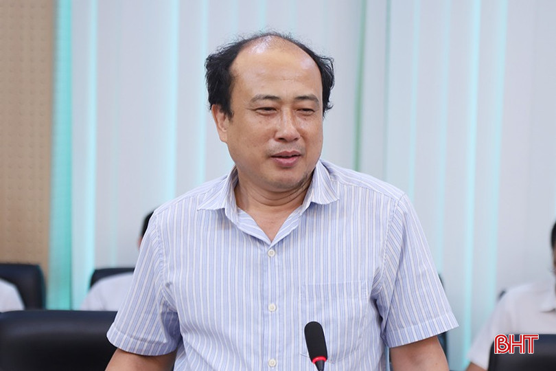 Ông Phạm Văn Tình - Phó Trưởng ban quản lý KKT tỉnh cho ý kiến về Quy hoạch điện VIII. o0.jpg
