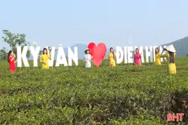 Trải nghiệm thú vị tại đồi chè Kỳ Văn