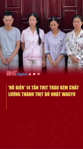 Bơm tinh chất vào 14 tấn thịt trâu "hô biến" thành thịt bò Nhật WAGYU