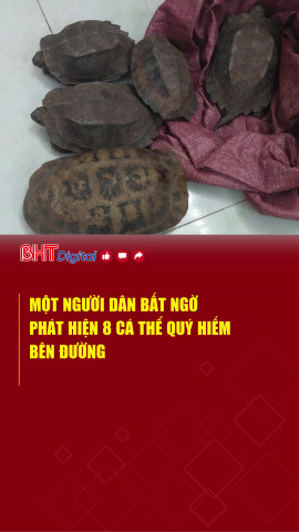 Một người dân bất ngờ phát hiện 8 cá thể quý hiếm bên đường