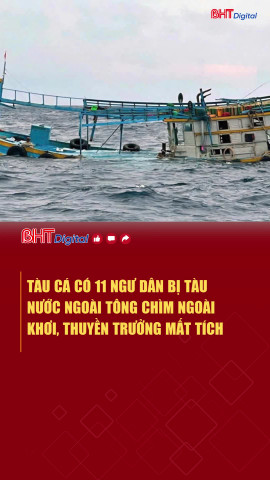 Tàu cá có 11 ngư dân bị tàu nước ngoài tông chìm ngoài khơi, thuyền trưởng mất tích